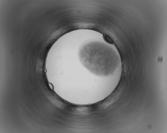 X0000101400357200808041046