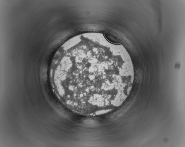 X0000101400358200808041046