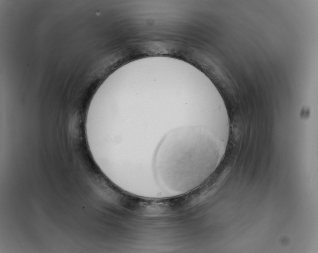 X0000101400359200808041046