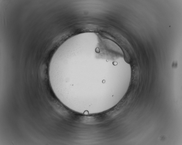 X0000101400361200808041046