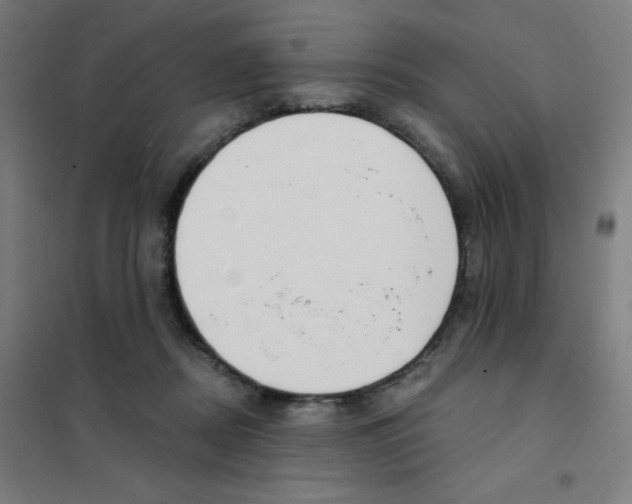 X0000101400362200808041046