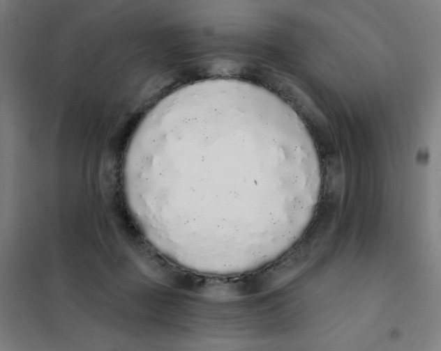 X0000101400363200808041046