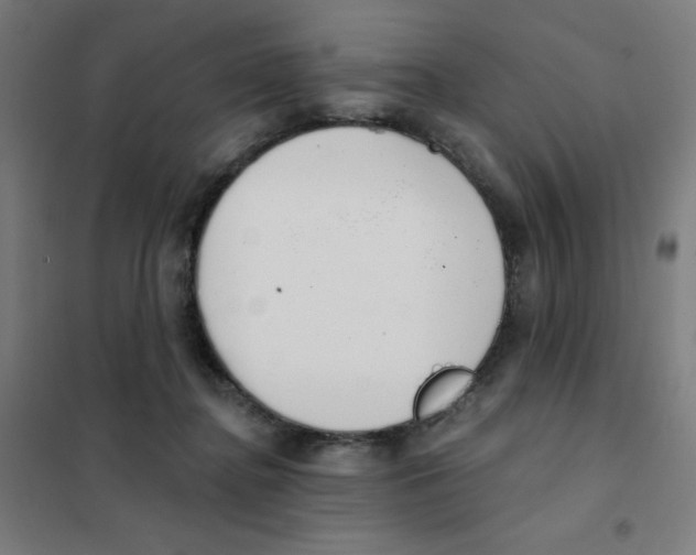 X0000101400364200808041046