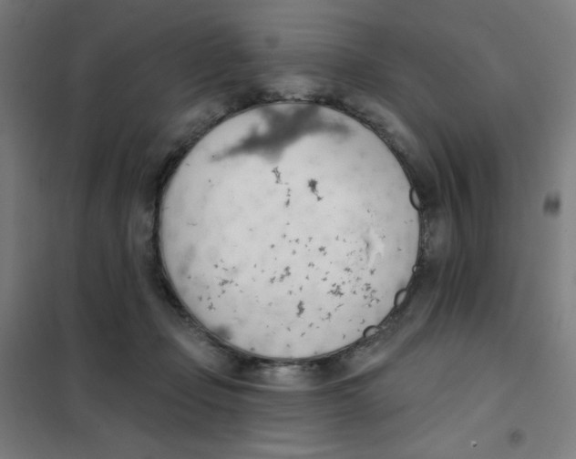 X0000101400365200808041046