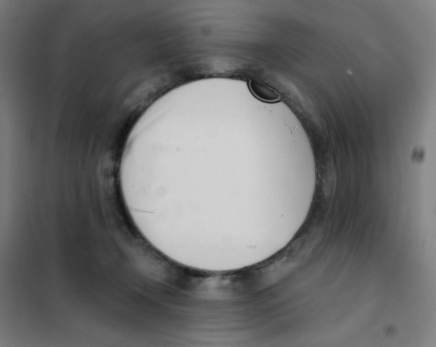 X0000101400366200808041046