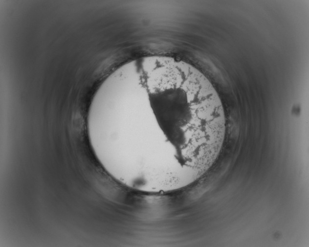 X0000101400371200808041046