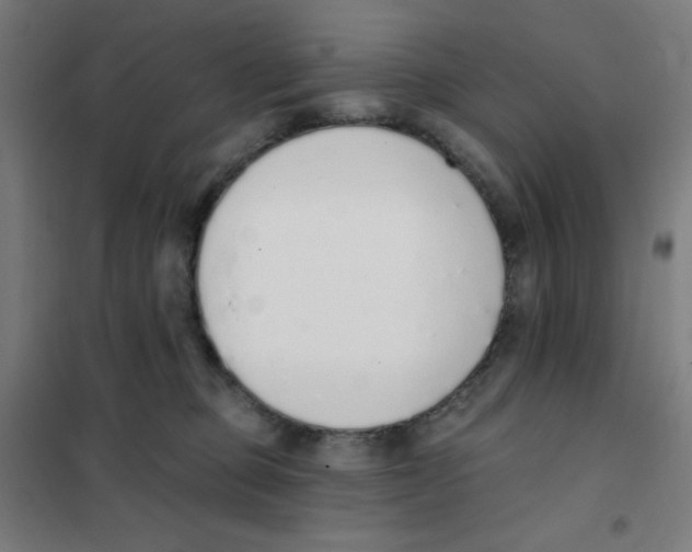 X0000101400373200808041046