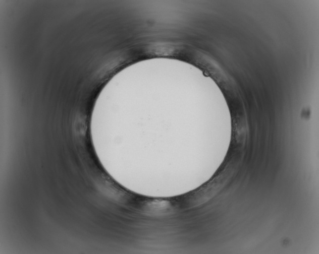 X0000101400374200808041046