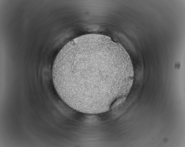 X0000101400376200808041046