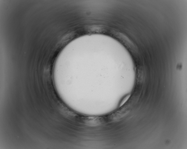 X0000101400377200808041046