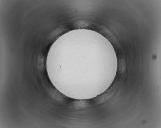 X0000101400378200808041046