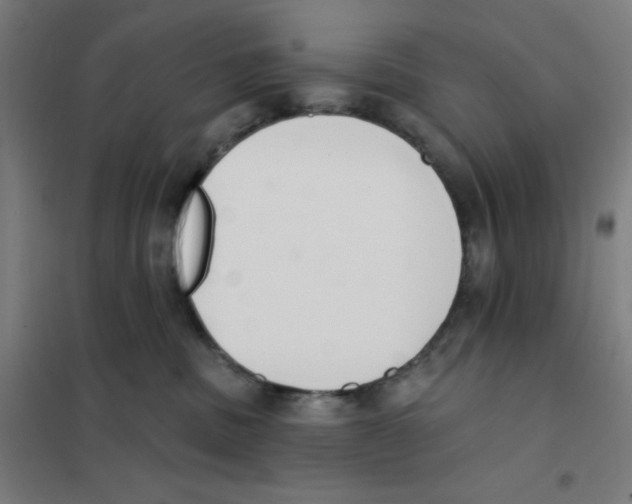 X0000101400379200808041046