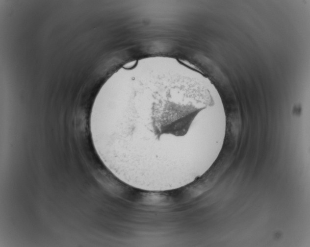 X0000101400380200808041046