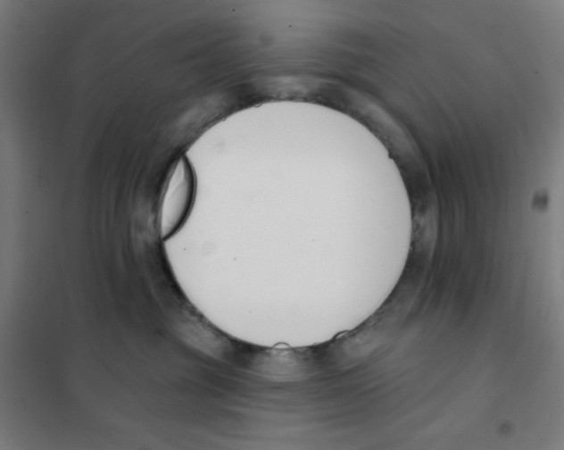 X0000101400381200808041046