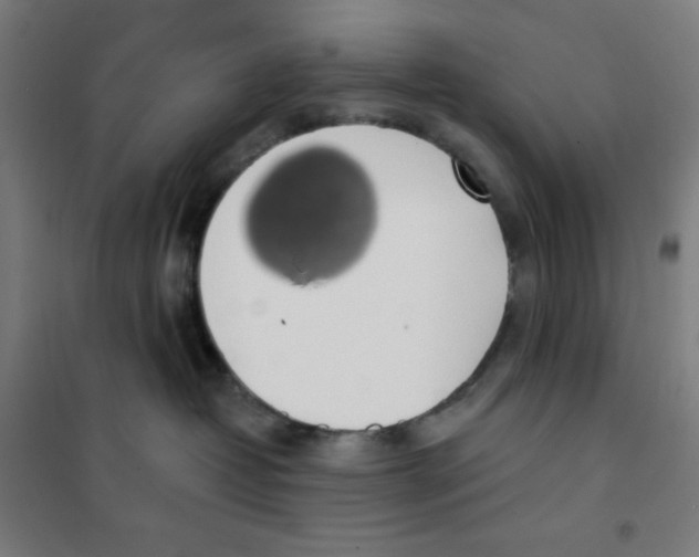 X0000101400382200808041046