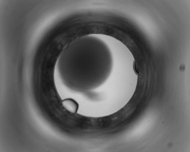 X0000101400383200808041046