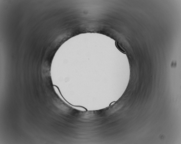 X0000101400384200808041046