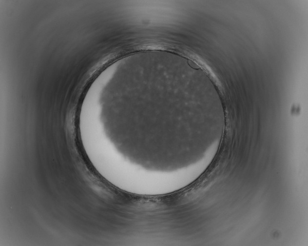 X0000101400386200808041046