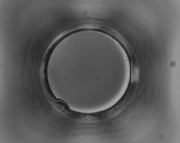 X0000101400387200808041046