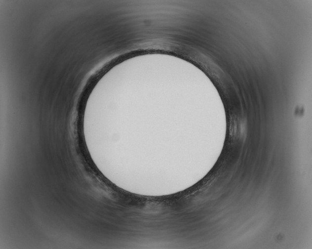 X0000101400388200808041046