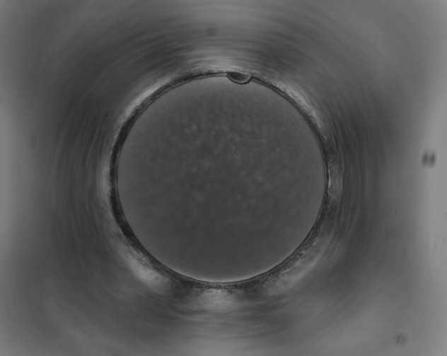 X0000101400390200808041046