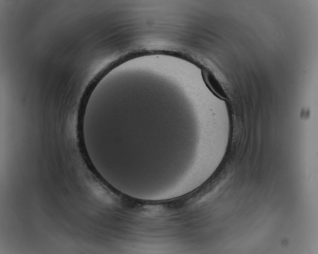 X0000101400391200808041046