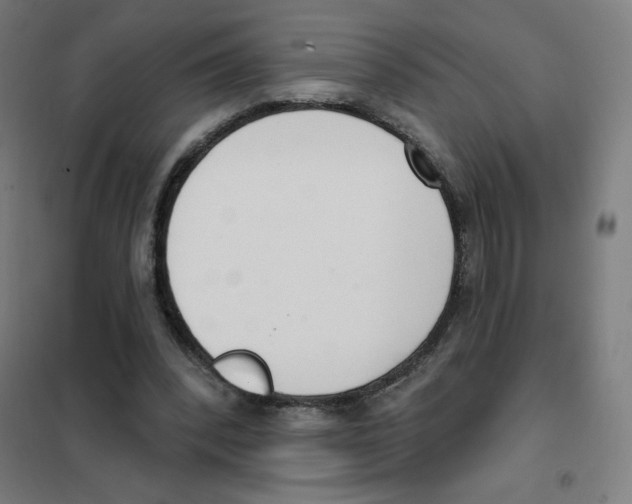 X0000101400392200808041046