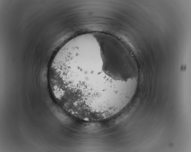 X0000101400398200808041046