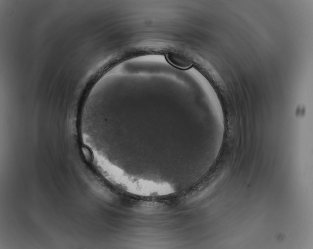 X0000101400399200808041046