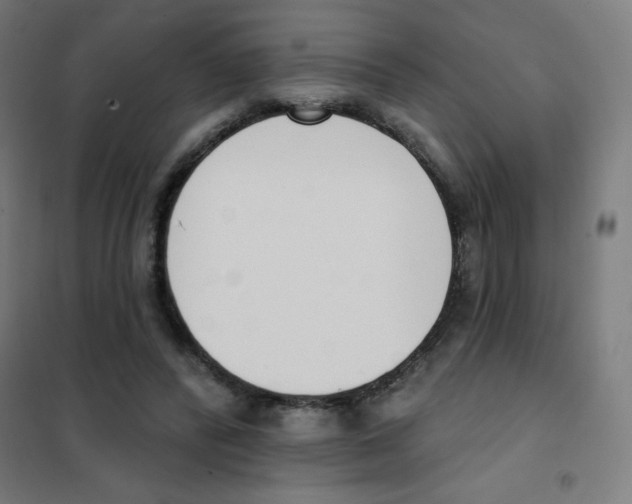 X0000101400400200808041046