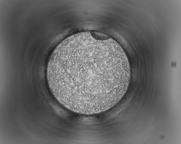 X0000101400401200808041046