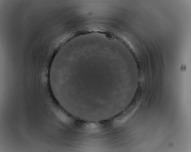 X0000101400402200808041046