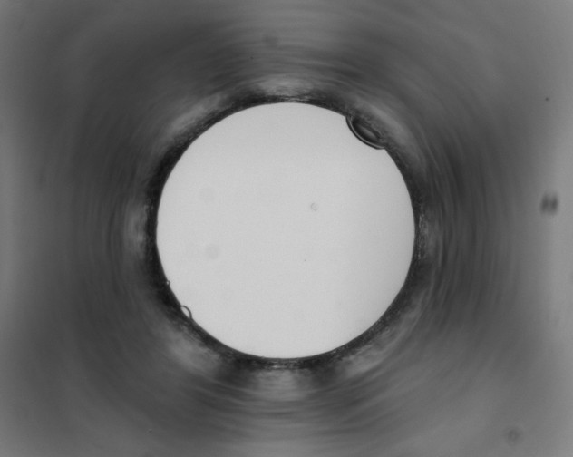 X0000101400404200808041046