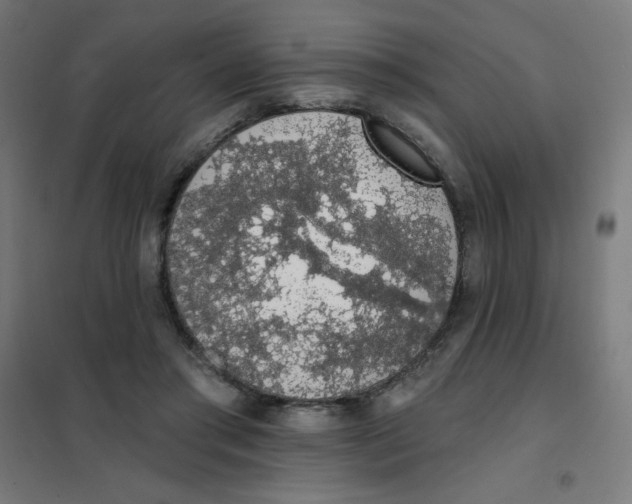 X0000101400405200808041046