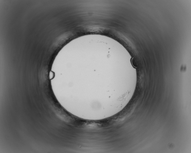 X0000101400407200808041046