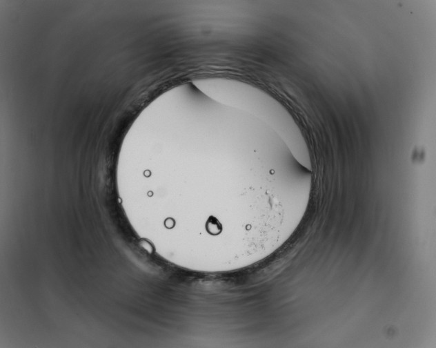 X0000101400408200808041045