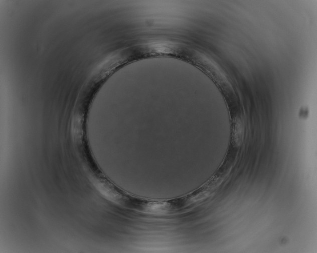 X0000101400410200808041045