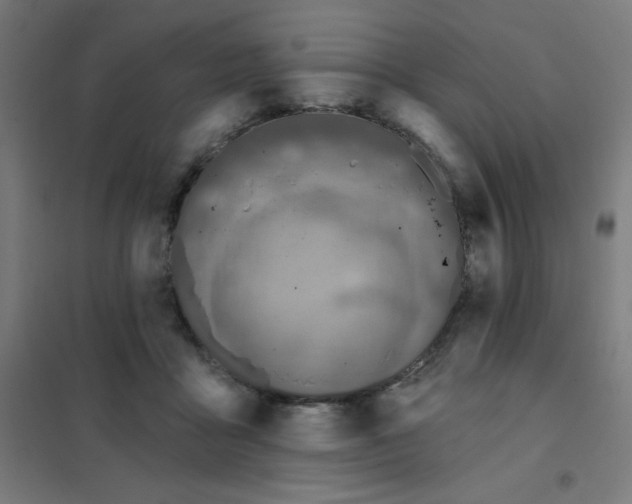 X0000101400411200808041045