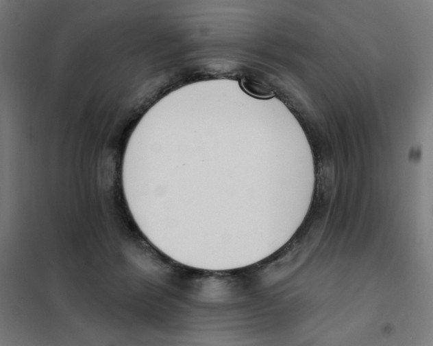 X0000101400412200808041045