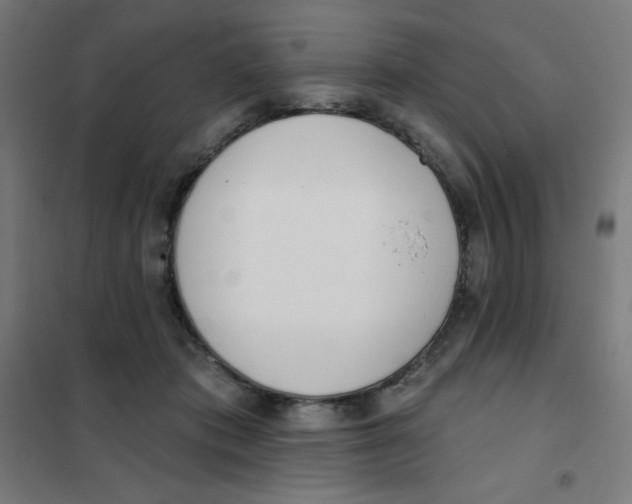 X0000101400413200808041045