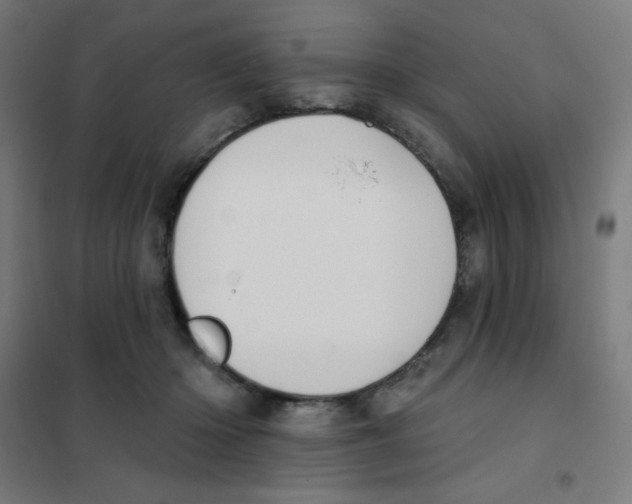 X0000101400414200808041045