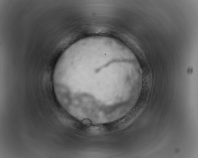 X0000101400415200808041045