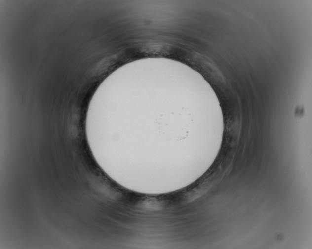 X0000101400416200808041045