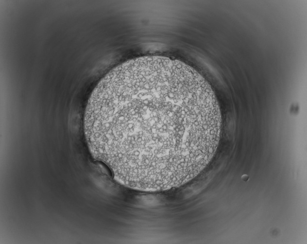 X0000101400417200808041045