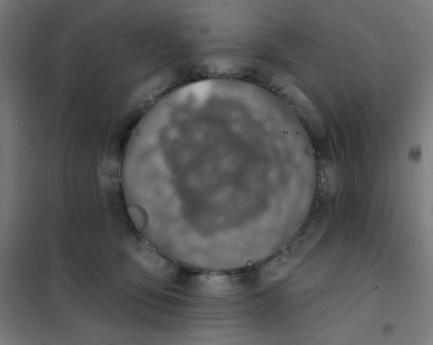 X0000101400419200808041045