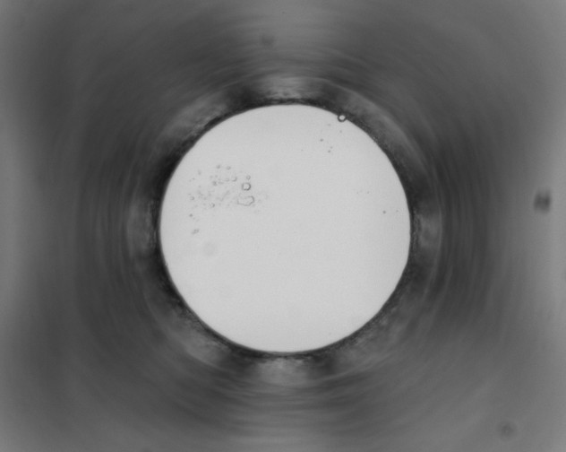 X0000101400422200808041045