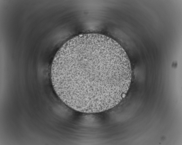 X0000101400423200808041045