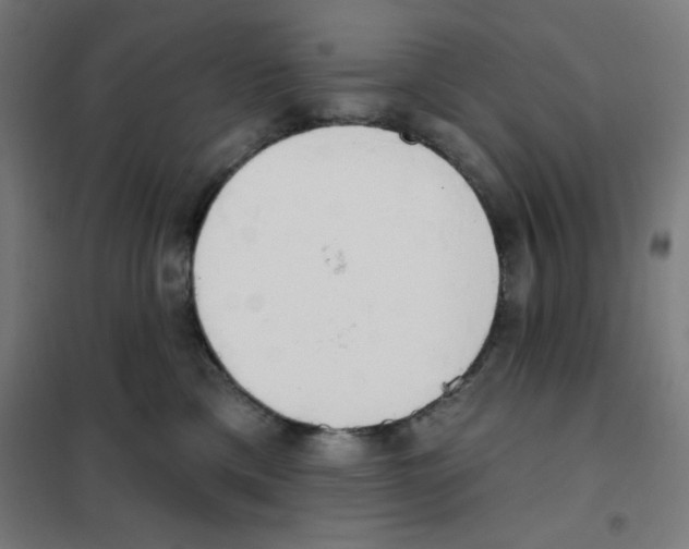 X0000101400425200808041045