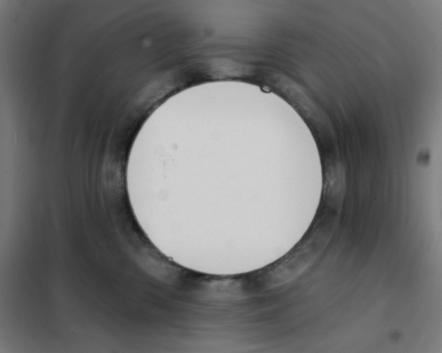 X0000101400426200808041045