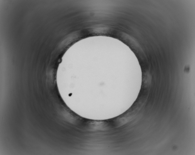 X0000101400428200808041045